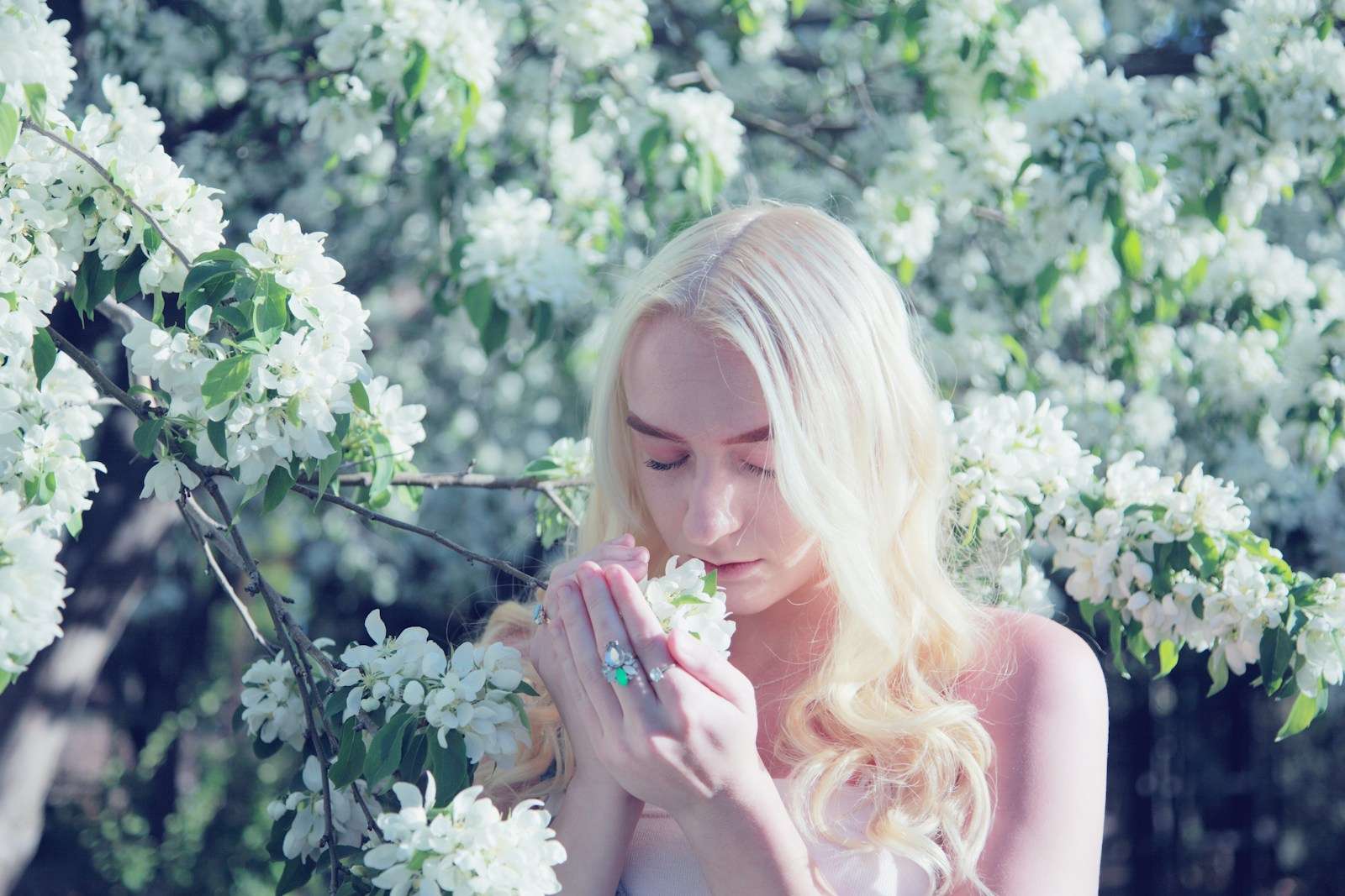 woman smelling flower during daytime