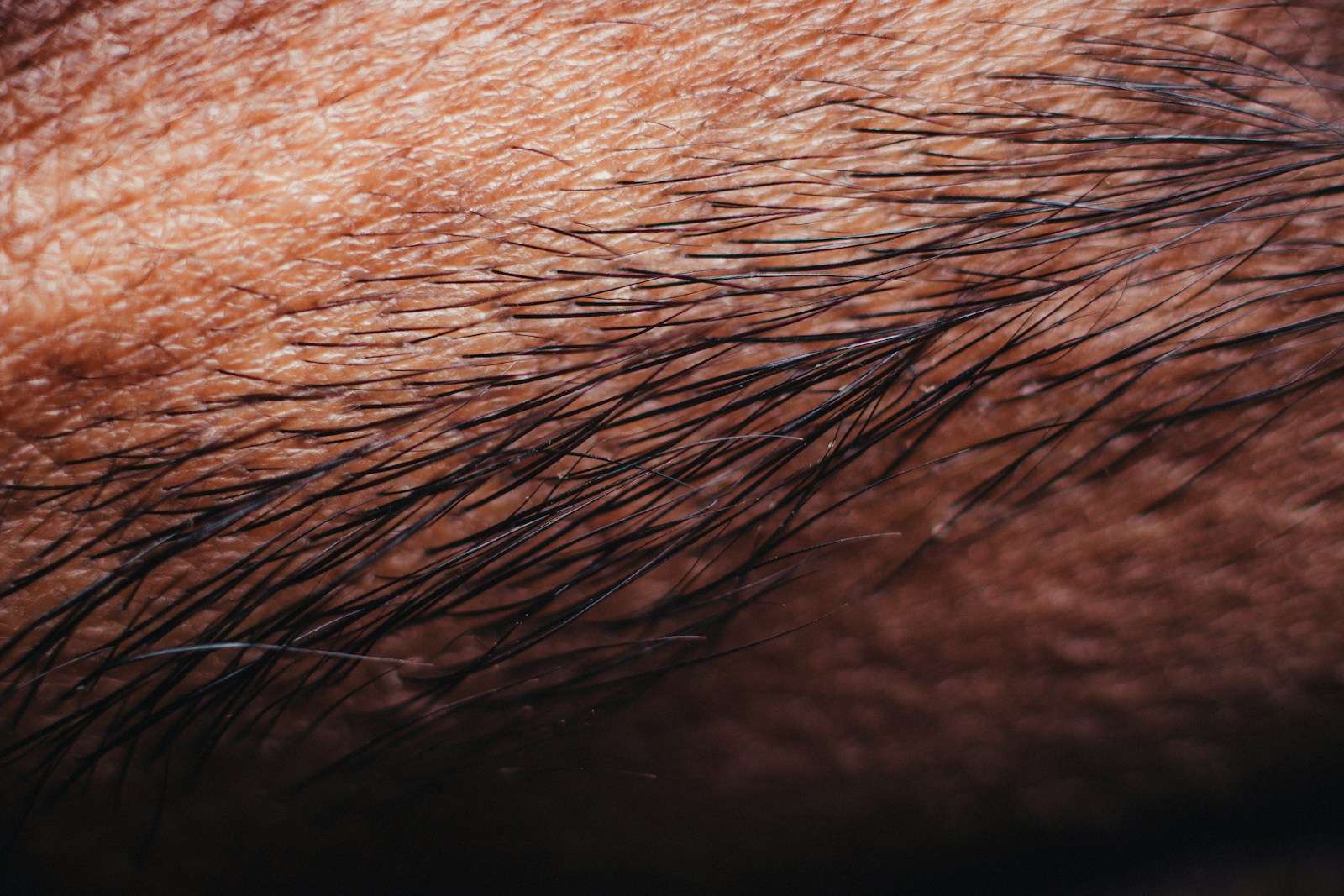 persons hair on black background